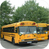 School Buses